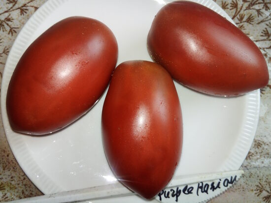 Пурпурный Русский